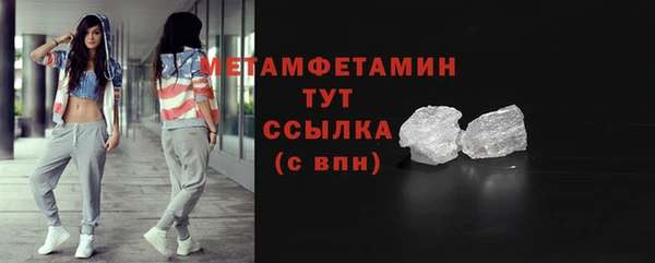 прущие грибы Белая Холуница