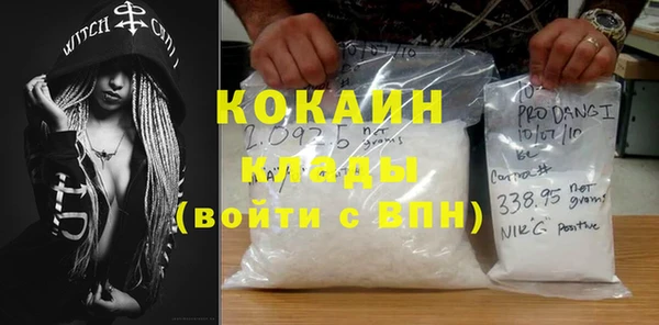 прущие грибы Белая Холуница