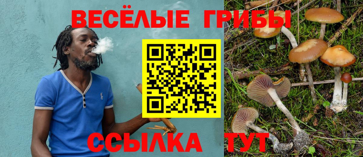 Галлюциногенные грибы GOLDEN TEACHER  Вход с VPN  Лянтор 